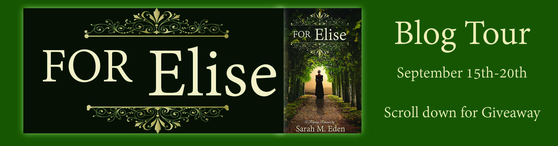 Review + Giveaway: For Elise by Sarah M. Eden